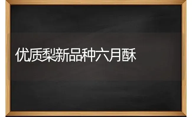 优质梨新品种六月酥 | 养殖技术大全