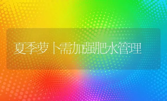 大葱干尖的原因及防控方法 | 养殖技术大全