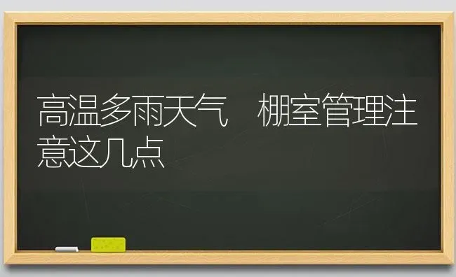 高温多雨天气 棚室管理注意这几点 | 养殖技术大全