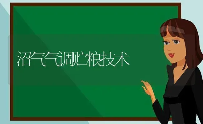 沼气气调贮粮技术 | 养殖知识