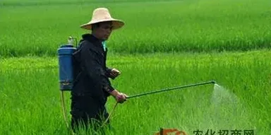 合理调控农药化肥施用措施 | 三农知识
