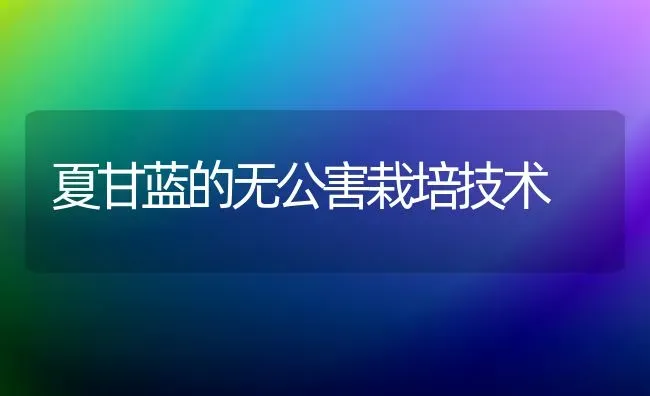 夏甘蓝的无公害栽培技术 | 养殖技术大全