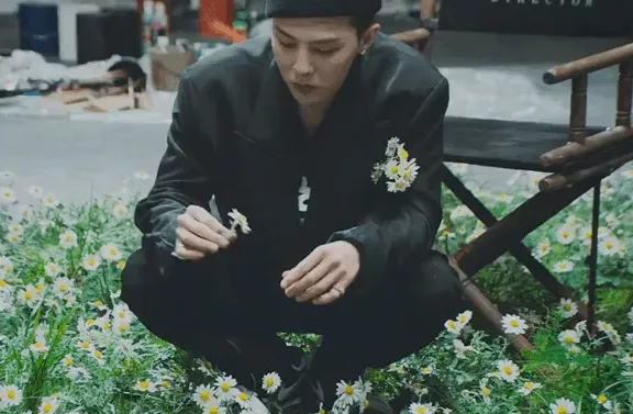 权志龙喜欢雏菊是因为水原吗,权志龙为什么喜欢雏菊？