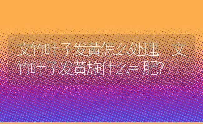 文竹叶子发黄怎么处理,文竹叶子发黄施什么=肥？ | 养殖科普