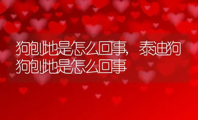 狗刨地是怎么回事,泰迪狗狗刨地是怎么回事 | 养殖科普