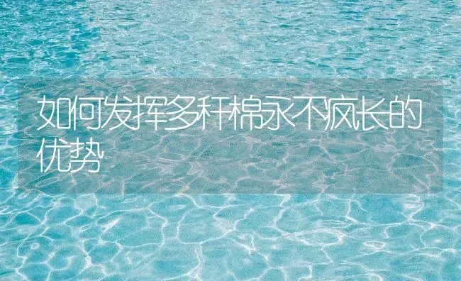 如何发挥多秆棉永不疯长的优势 | 养殖技术大全