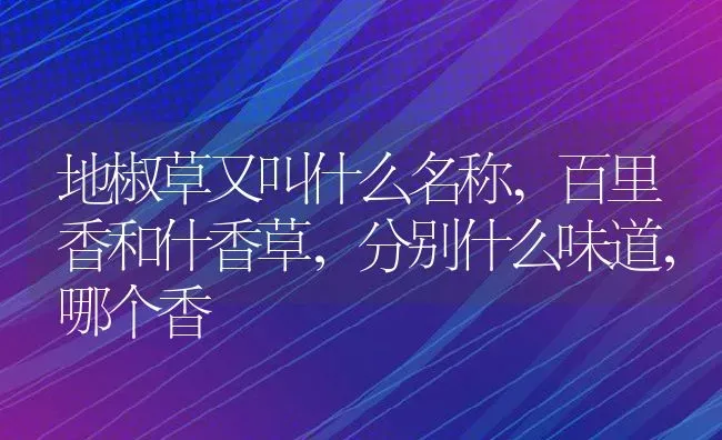 地椒草又叫什么名称,百里香和什香草，分别什么味道，哪个香 | 养殖学堂