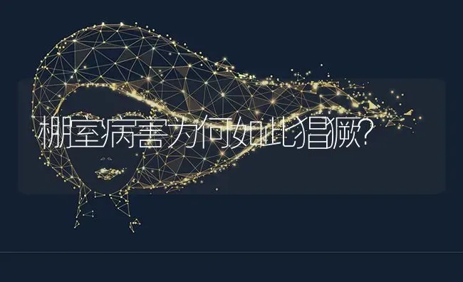 棚室病害为何如此猖獗? | 养殖技术大全