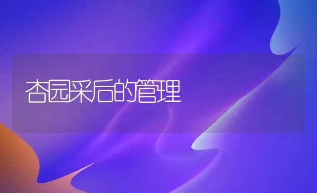杏园采后的管理 | 养殖知识