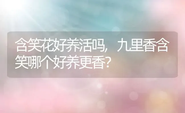 含笑花好养活吗,九里香含笑哪个好养更香？ | 养殖学堂