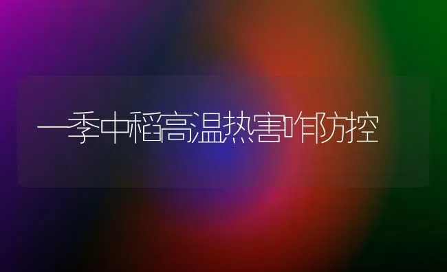 一季中稻高温热害咋防控 | 养殖技术大全