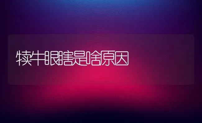 犊牛眼瞎是啥原因 | 养殖技术大全