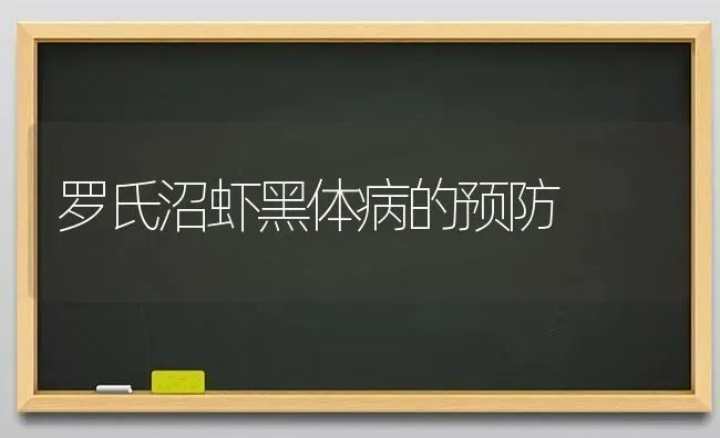 罗氏沼虾黑体病的预防 | 养殖知识