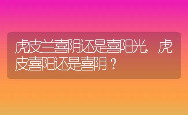 虎皮兰喜阴还是喜阳光,虎皮喜阳还是喜阴？ | 养殖科普