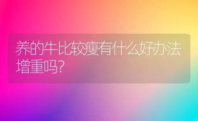 养的牛比较瘦有什么好办法增重吗? | 养殖技术大全