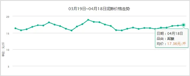 现在泥鳅价格行情分析 | 农广天地