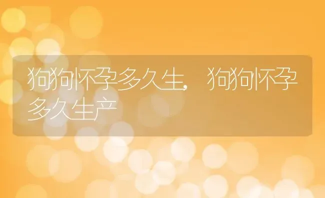 狗狗怀孕多久生,狗狗怀孕多久生产 | 养殖资料