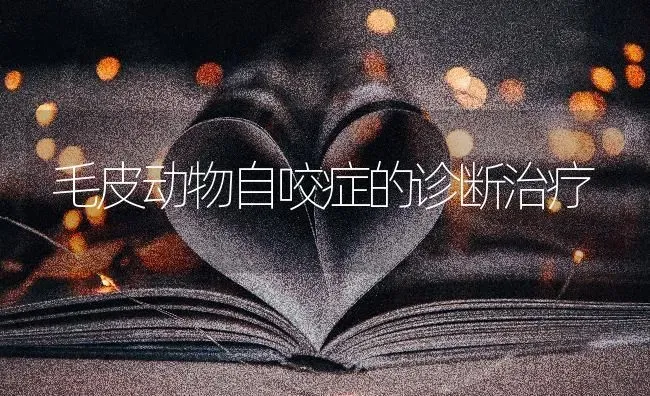 毛皮动物自咬症的诊断治疗 | 养殖知识