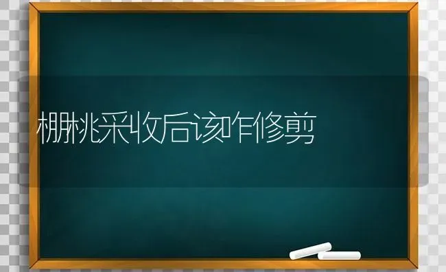 棚桃采收后该咋修剪 | 养殖技术大全