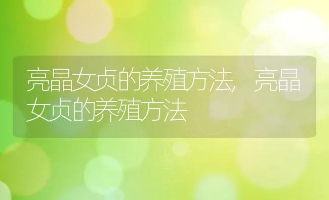 吊兰怎么水培,吊兰水培几天就可以栽在花盆里？ | 养殖科普