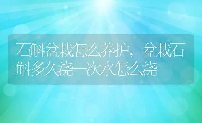 石斛盆栽怎么养护,盆栽石斛多久浇一次水怎么浇 | 养殖学堂