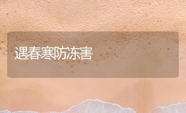遇春寒防冻害 | 养殖技术大全