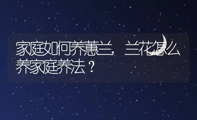 家庭如何养蕙兰,兰花怎么养家庭养法？ | 养殖科普