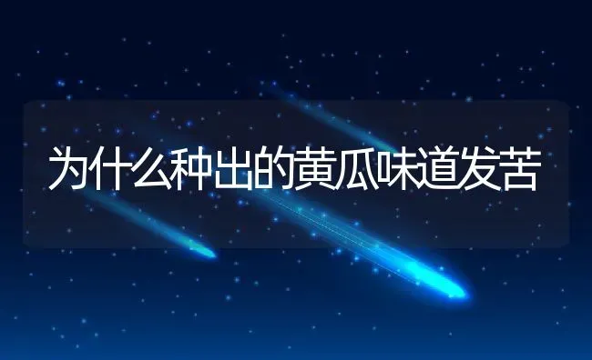 为什么种出的黄瓜味道发苦 | 养殖学堂