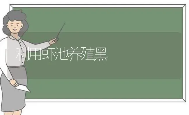 利用虾池养殖黑鮶 | 养殖技术大全