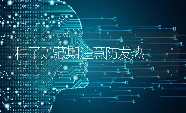 种子贮藏期注意防发热 | 养殖技术大全