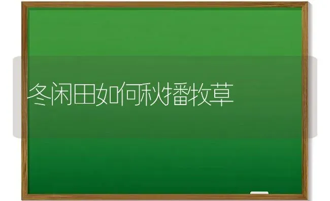 冬闲田如何秋播牧草 | 养殖知识