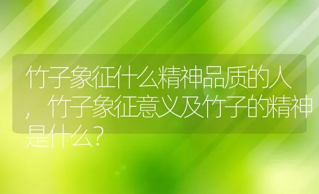 竹子象征什么精神品质的人,竹子象征意义及竹子的精神是什么？ | 养殖学堂