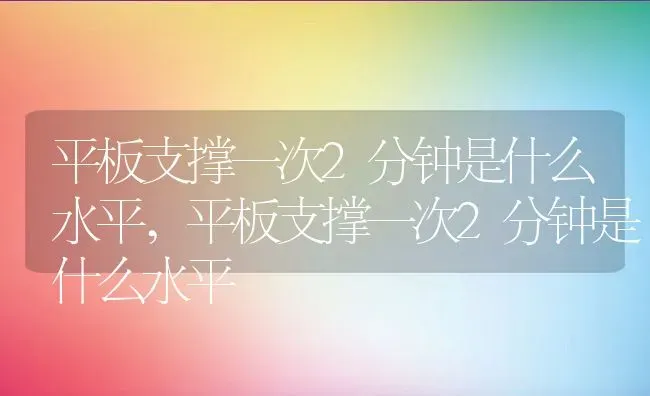 平板支撑一次2分钟是什么水平,平板支撑一次2分钟是什么水平 | 养殖科普