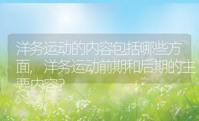洋务运动的内容包括哪些方面,洋务运动前期和后期的主要内容？ | 养殖科普