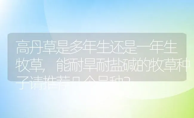 高丹草是多年生还是一年生牧草,能耐旱耐盐碱的牧草种子请推荐几个品种？ | 养殖科普