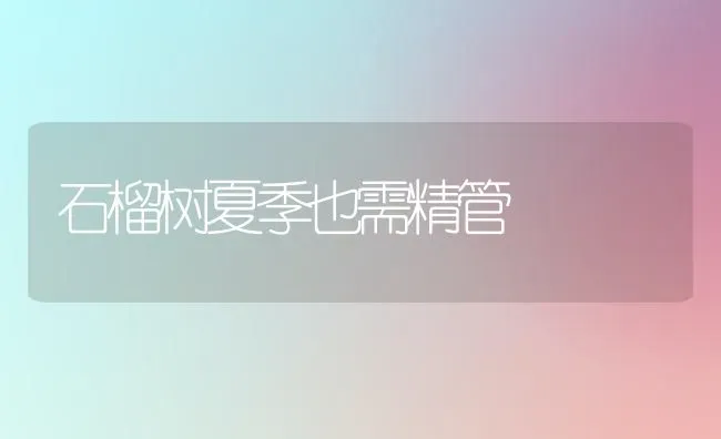 蟹种越冬的“三准备” | 养殖技术大全