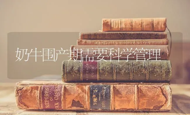 奶牛围产期需要科学管理 | 养殖技术大全