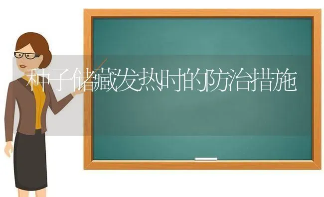 种子储藏发热时的防治措施 | 养殖技术大全