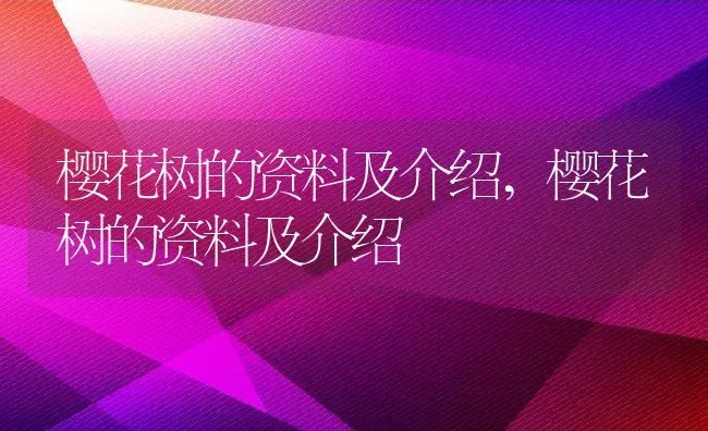 樱花树的资料及介绍,樱花树的资料及介绍 | 养殖科普