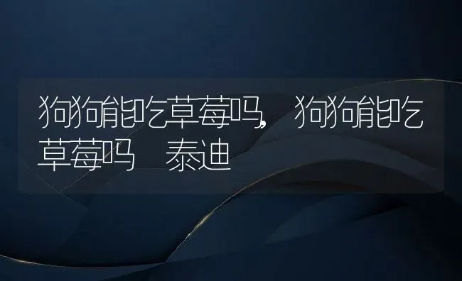 狗狗能吃草莓吗,狗狗能吃草莓吗 泰迪 | 养殖科普
