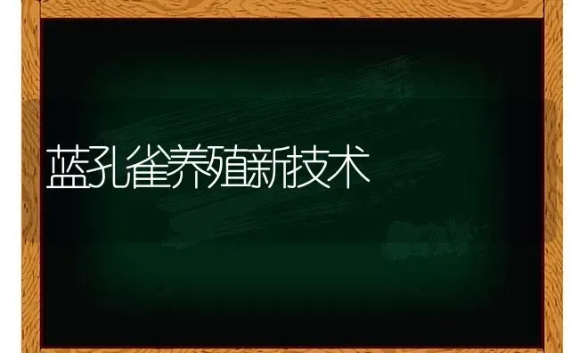 蓝孔雀养殖新技术 | 养殖知识