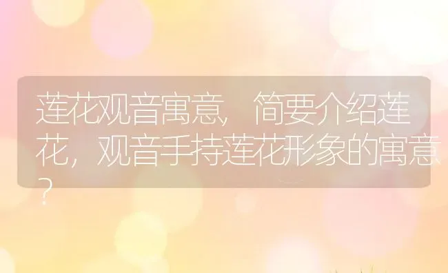 莲花观音寓意,简要介绍莲花，观音手持莲花形象的寓意？ | 养殖科普