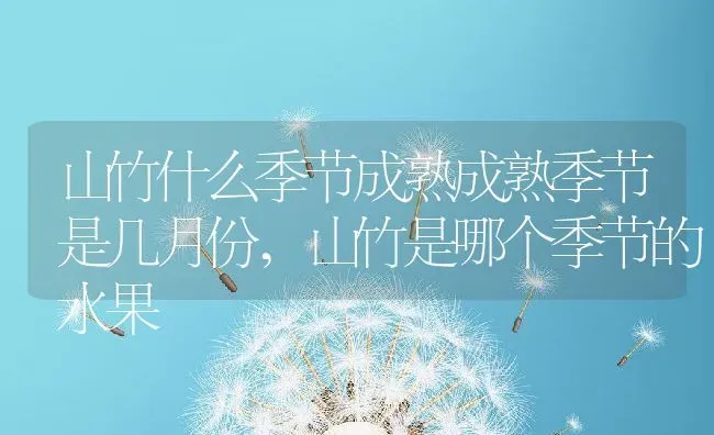 山竹什么季节成熟成熟季节是几月份,山竹是哪个季节的水果 | 养殖学堂