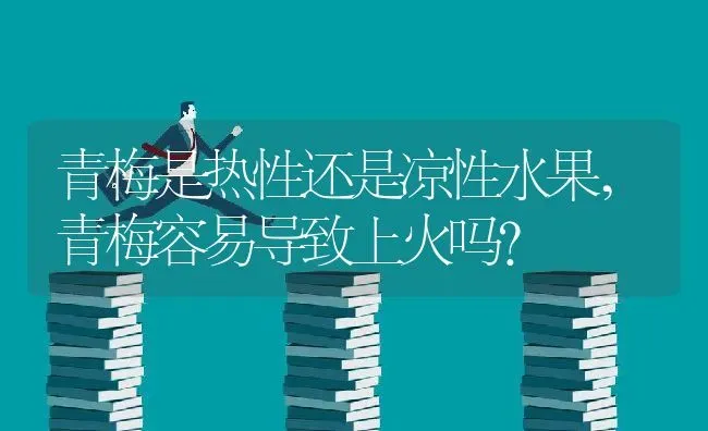 青梅是热性还是凉性水果,青梅容易导致上火吗？ | 养殖科普