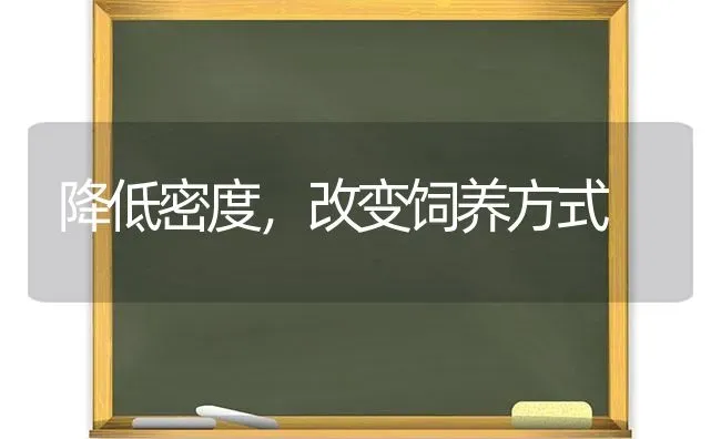 降低密度,改变饲养方式 | 养殖技术大全