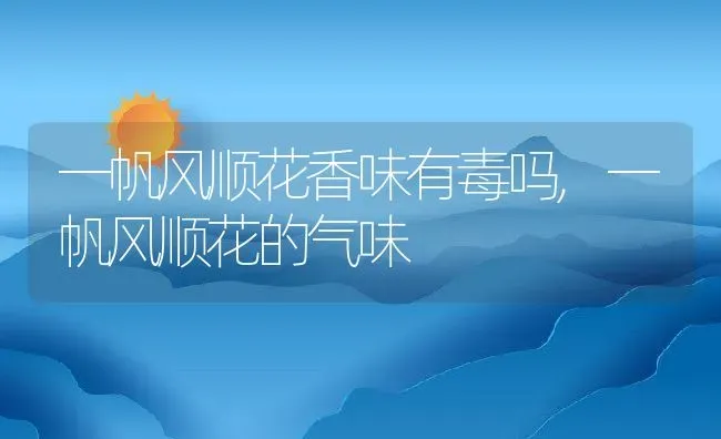 一帆风顺花香味有毒吗,一帆风顺花的气味 | 养殖学堂