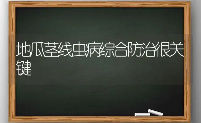 地瓜茎线虫病综合防治很关键 | 养殖技术大全