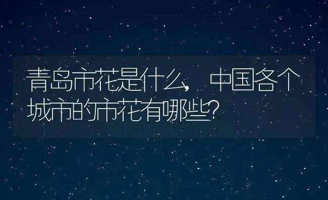 青岛市花是什么,中国各个城市的市花有哪些？ | 养殖科普