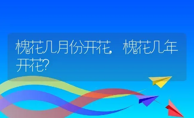 槐花几月份开花,槐花几年开花？ | 养殖学堂