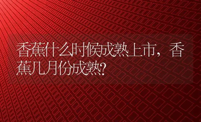 香蕉什么时候成熟上市,香蕉几月份成熟？ | 养殖科普